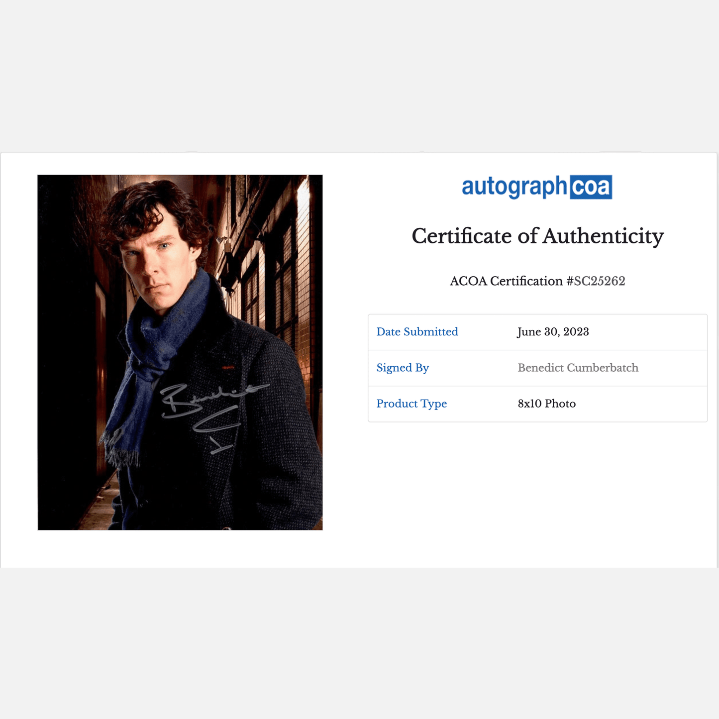 BENEDICT CUMBERBATCH autograph ACOA signed 8x10 photography SHERLOCK HOLMES 8x10