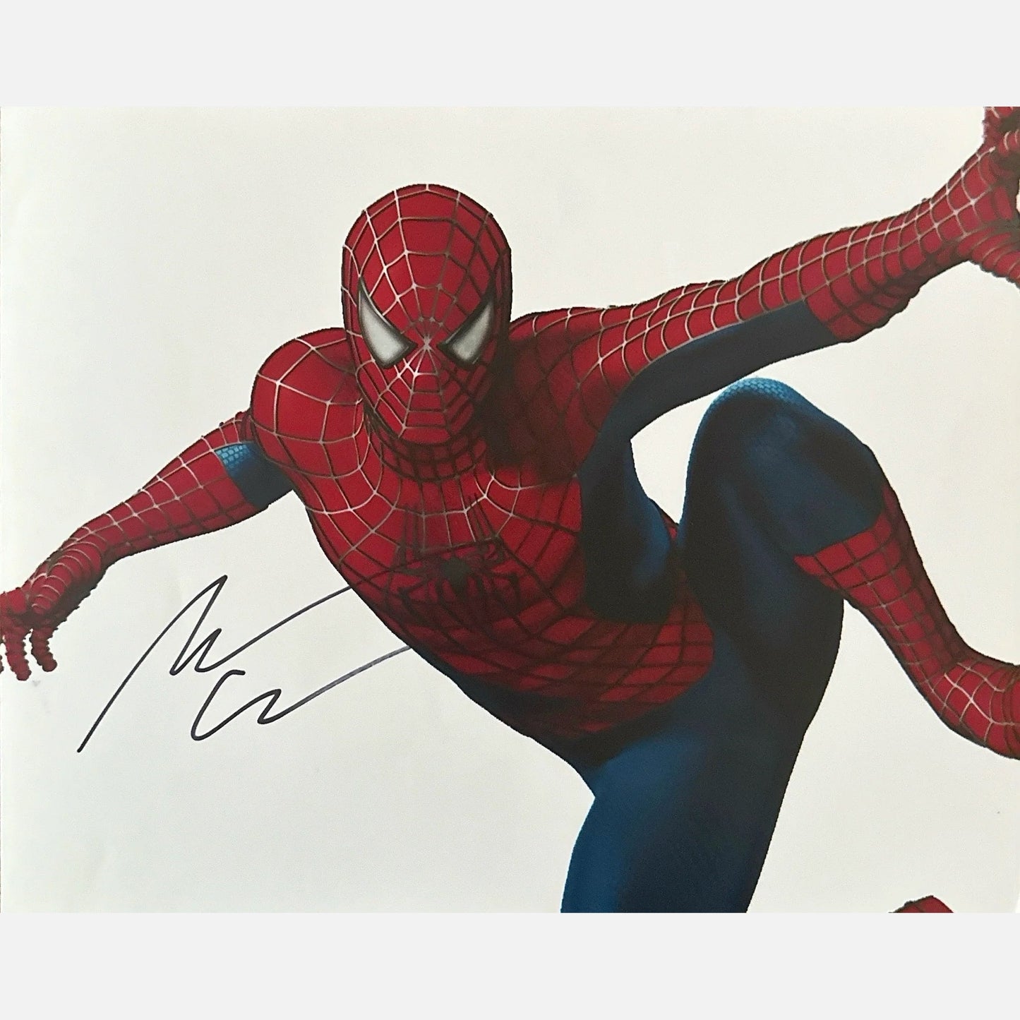 ANDREW GARFIELD autograph ACOA signed 8x10 photography SPIDERMAN