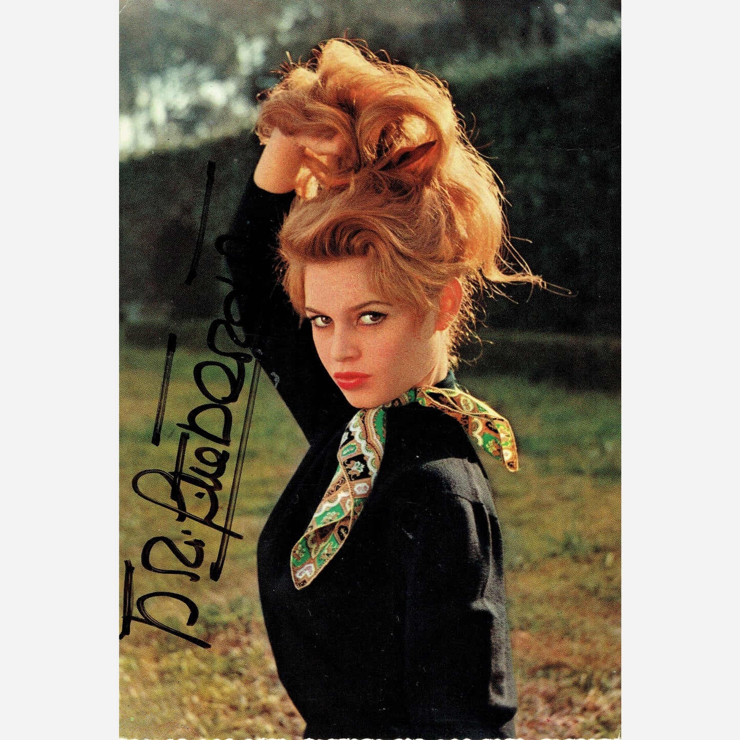 BRIGITTE BARDOT autograph ACOA signed 4x6 VINTAGE photography