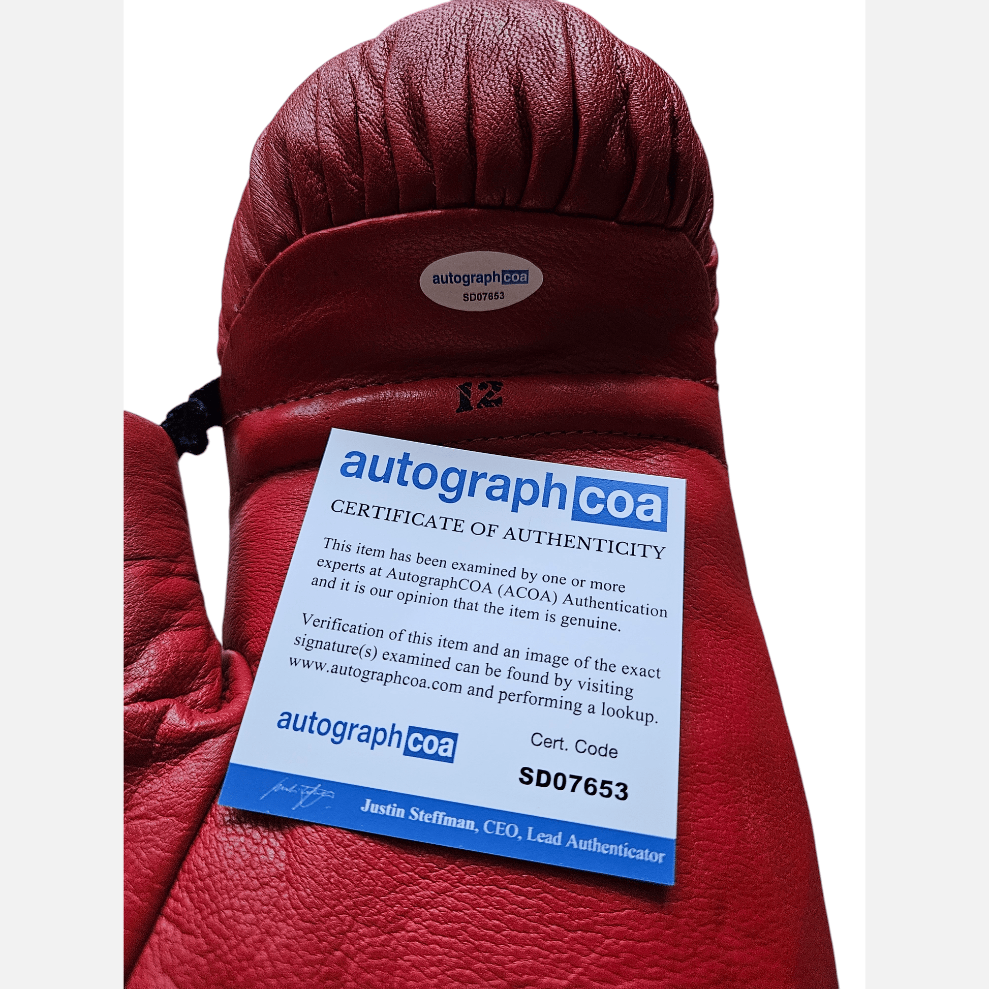 EVANDER HOLYFIELD & JULIO CESAR CHAVEZ autographs PSA & ACOA certificate signed Boxing Glove Glove