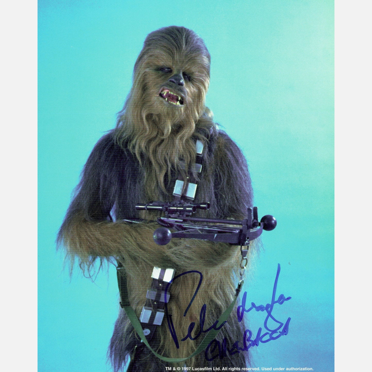 PETER MAYHEW autograph ACOA signed 8x10 photography STAR WARS