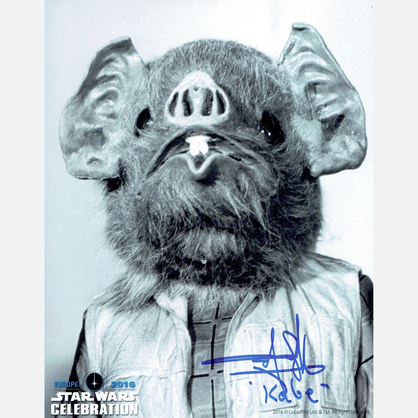 RUSTY GOFFE autograph ACOA signed 8x10 photography STAR WARS
