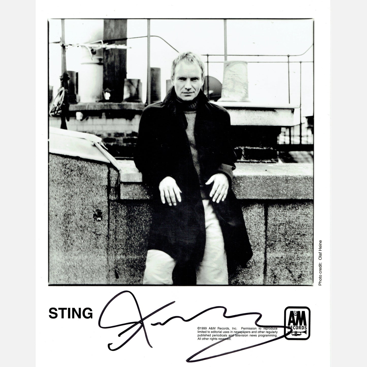 STING autograph ACOA signed 8x10 photography THE POLICE 8x10