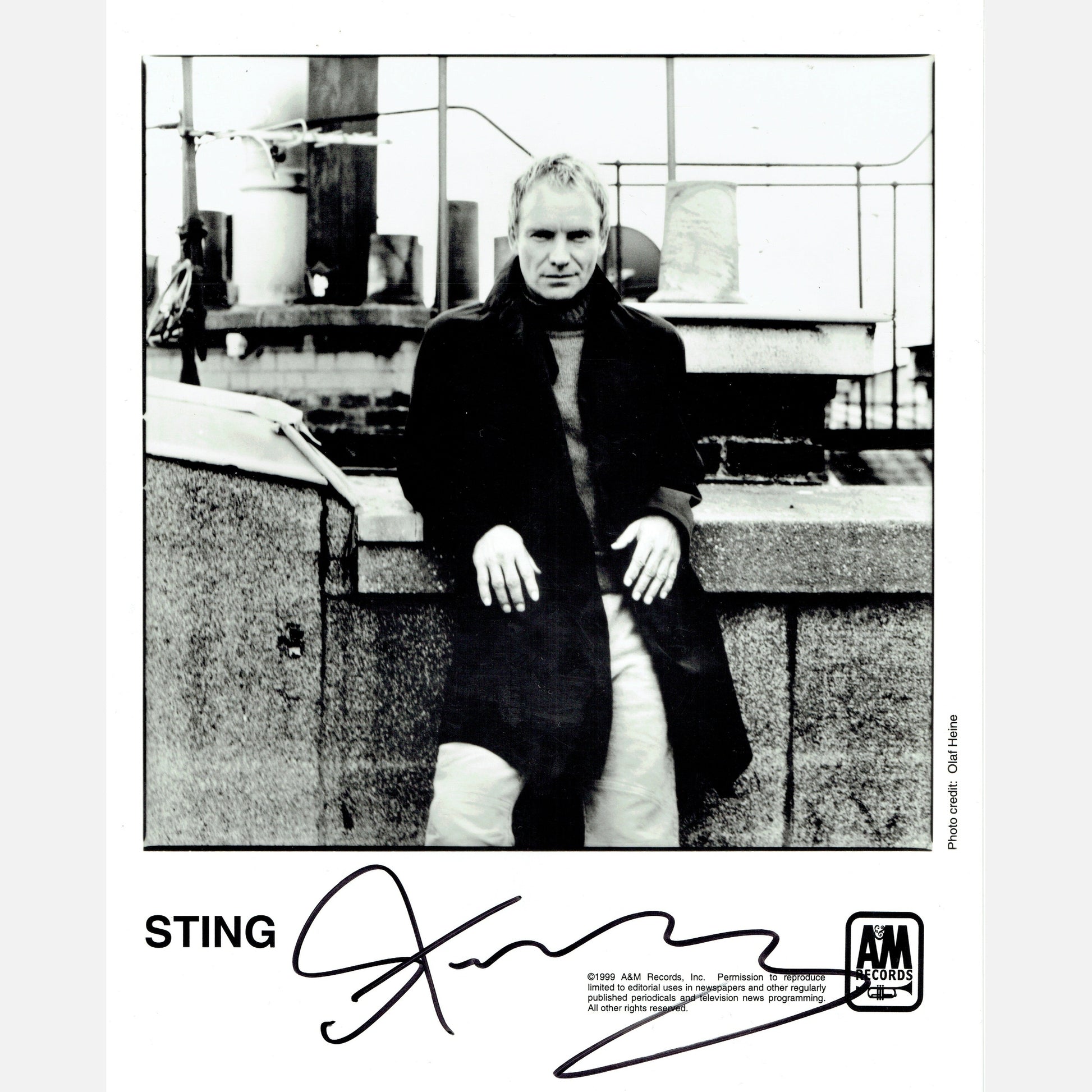 STING autograph ACOA signed 8x10 photography THE POLICE 8x10